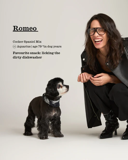 Style Without Limits